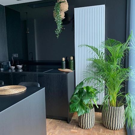 Zwarte Gracht Villa Zottegem Bagian luar foto